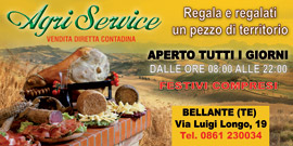 Agri Service